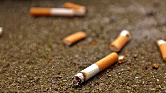 organizan una jornada para recolectar colillas de cigarrillos en plaza moreno