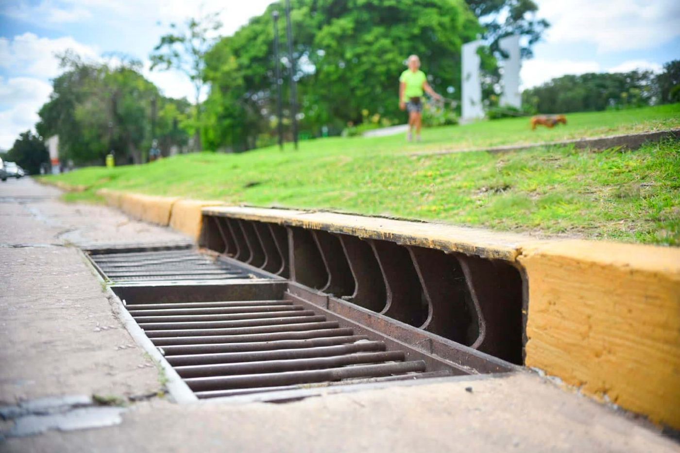 WhatsApp Image 2024-03-08 at 12.54.00.jpeg