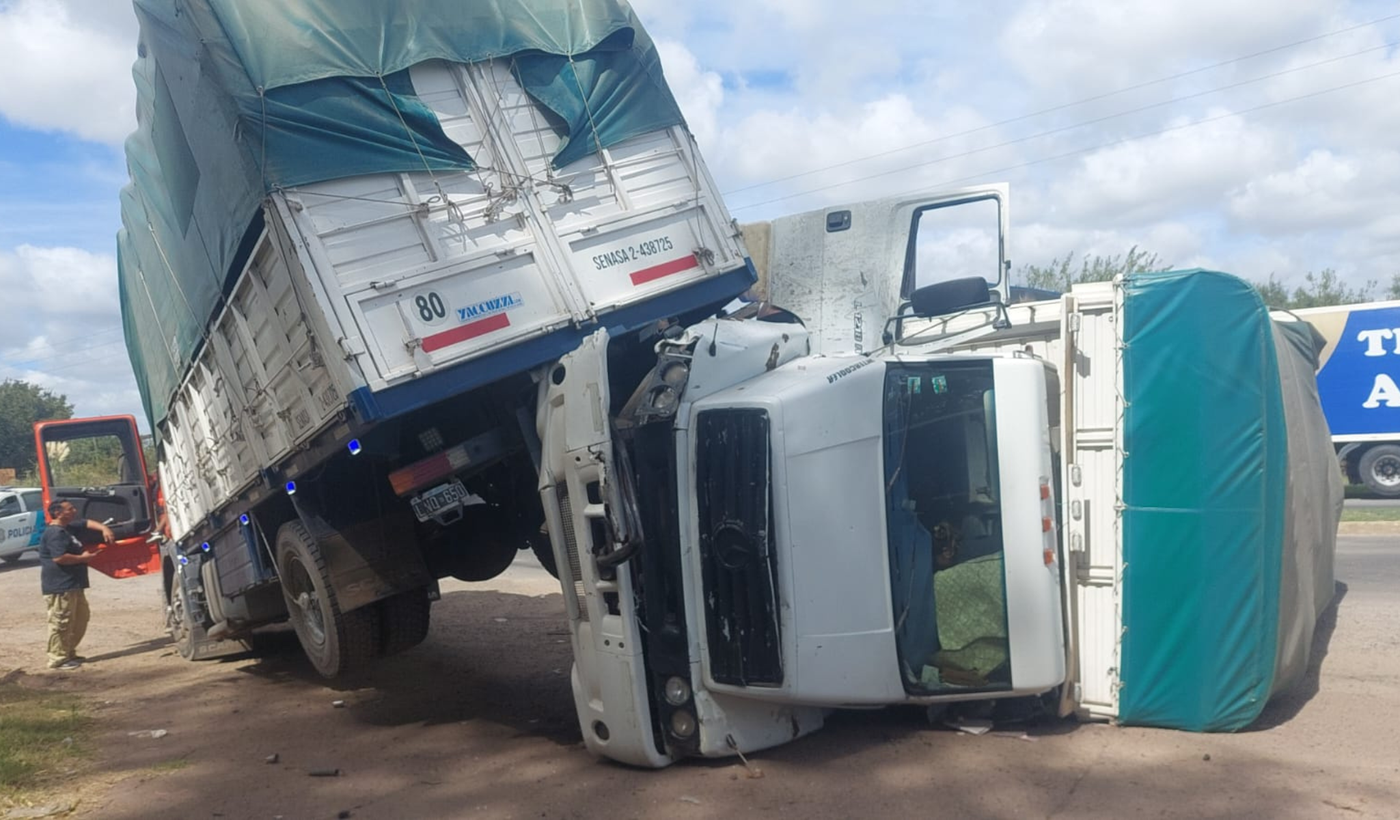 Diseño sin título (91)