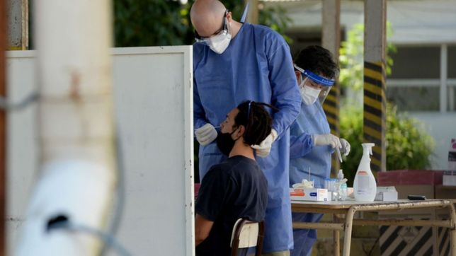 omicron en la plata: se sumaron 426 nuevos casos y hubo record de positivos en un dia