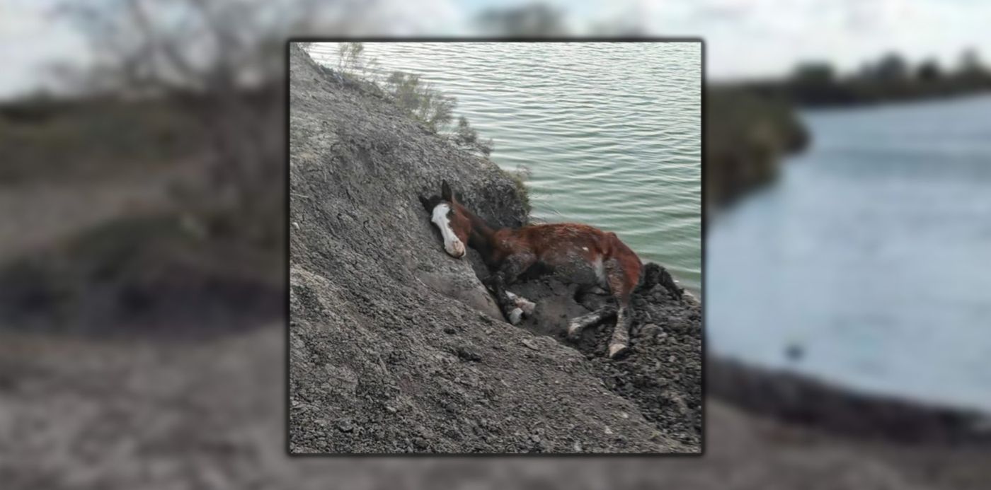 1660916043997.jpg?x=10&y=0&width=1900&height=950&rotate=0&scaleX=1&scaleY=1&ow=1920&oh=950&&cw=1920&ch=950