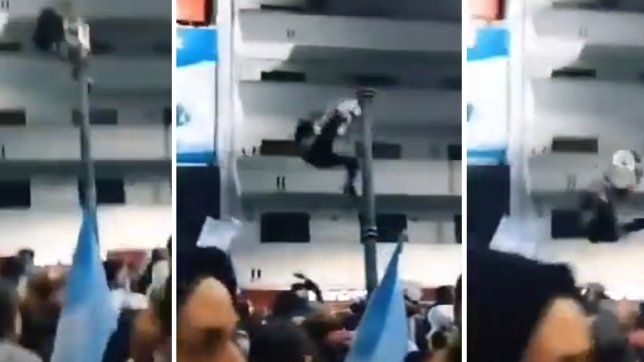 el momento en que un hincha cae del farol en 7 y 50 mientras festejaba la victoria en la copa america
