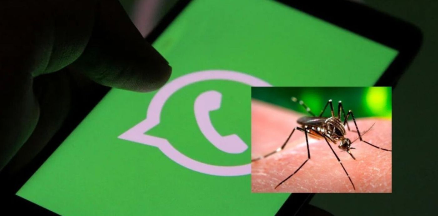 1582405828331.jpg?x=114&y=0&scaleY=1&oh=650&width=1216&height=608&rotate=0&scaleX=1&ow=1350&&cw=1920&ch=950