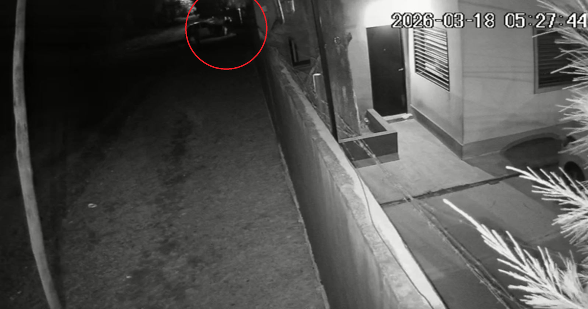 Asaltaron a una vecina de La Plata y denunció que su barrio es una zona liberada