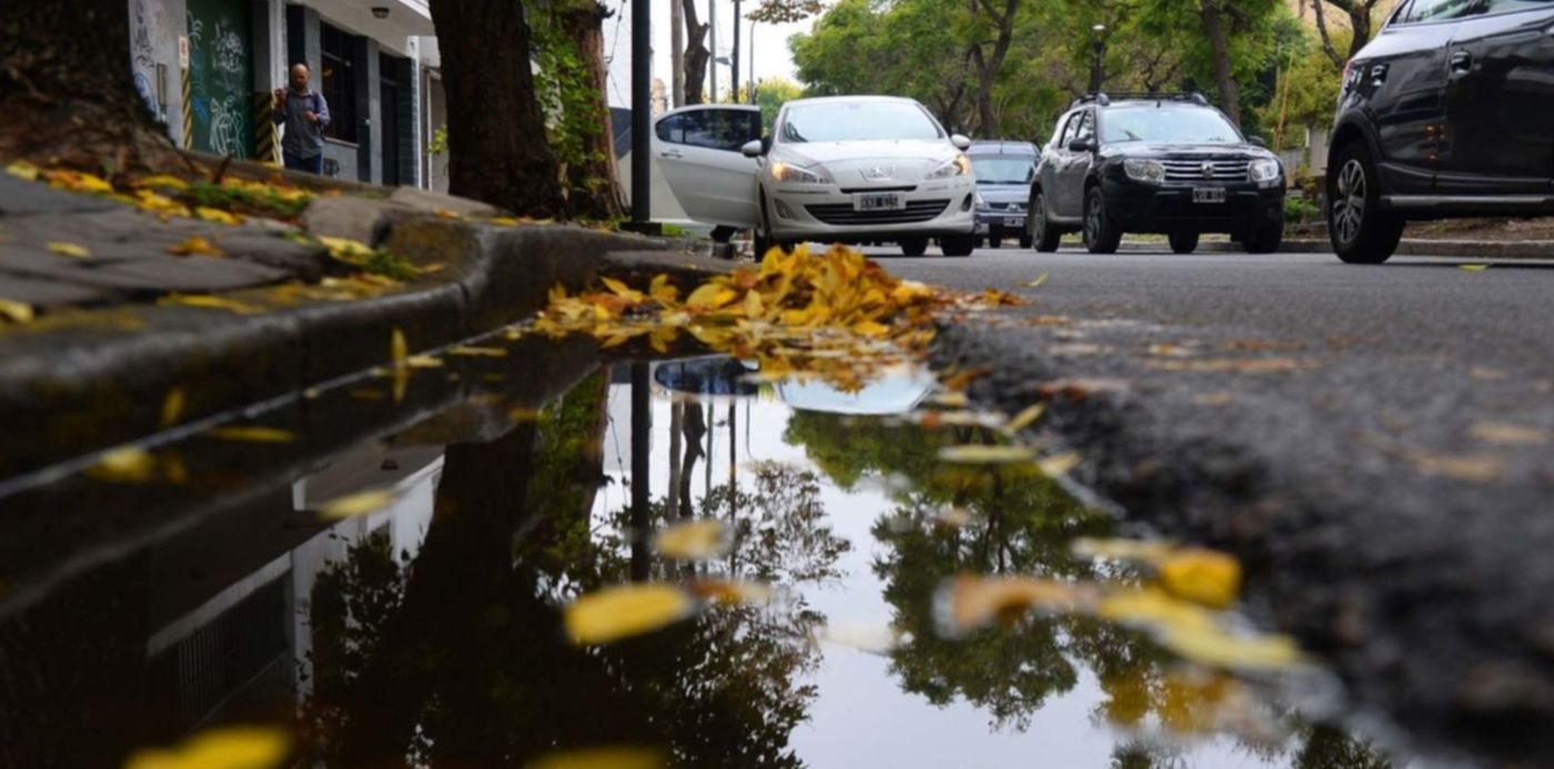 Clima Otoño Nublado Hojas
