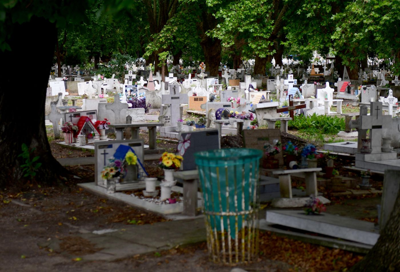 El Concejo Deliberante debatirá un nuevo proyecto para crear un ente que administre el Cementerio de La Plata El Concejo Deliberante debatirá un nuevo proyecto para crear un ente que administre el Cementerio de La Plata