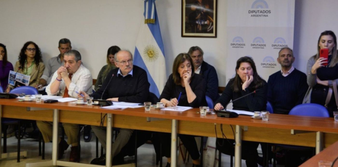 Comisión de Discapacidad