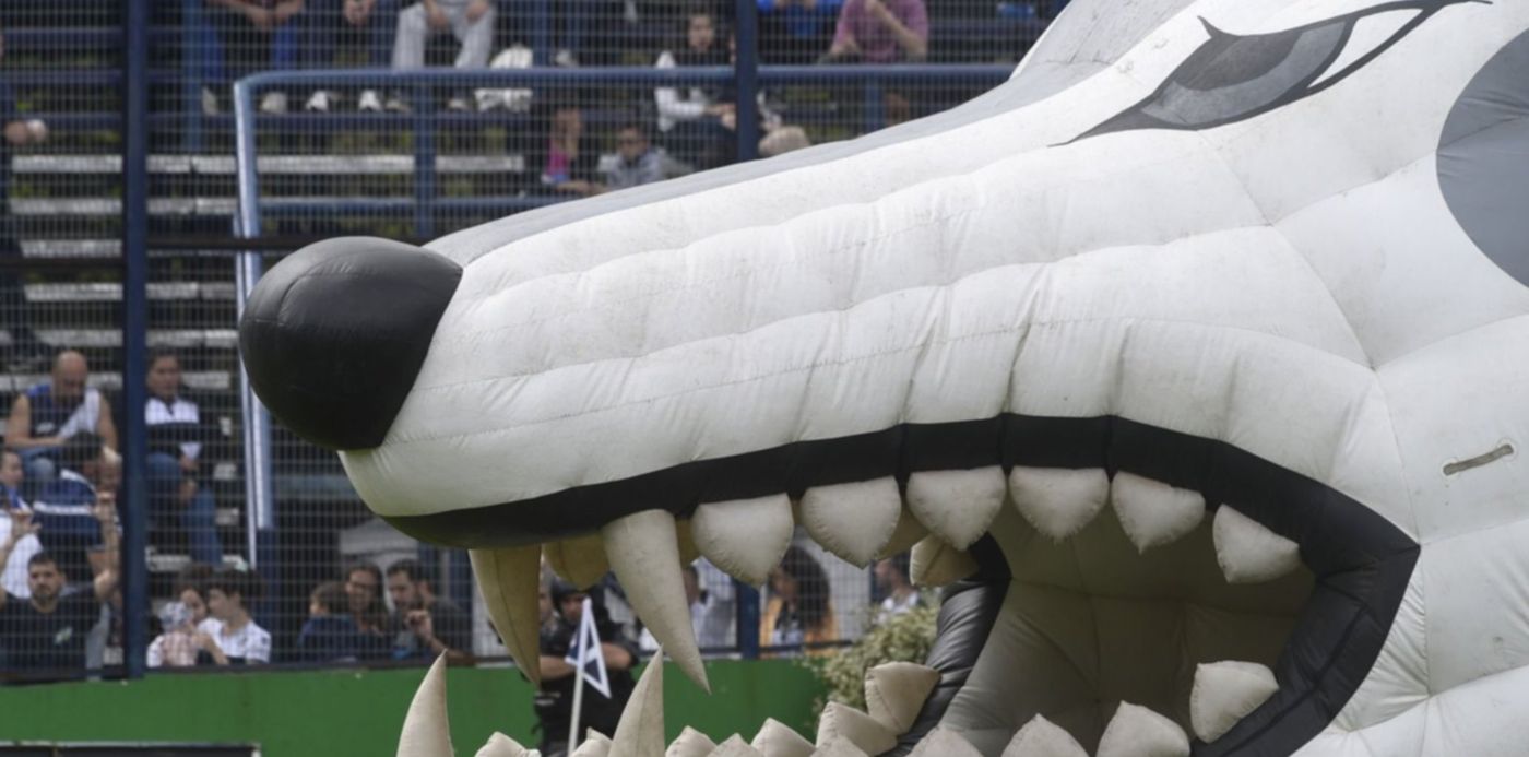 1554468258582.jpg?x=4&y=33&rotate=0&ow=1500&oh=996&width=1492&height=746&scaleX=1&scaleY=1&&cw=1920&ch=950