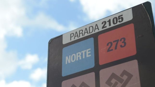 salvaje ataque en la plata: esperaba el micro y la agarraron del cuello para robarle