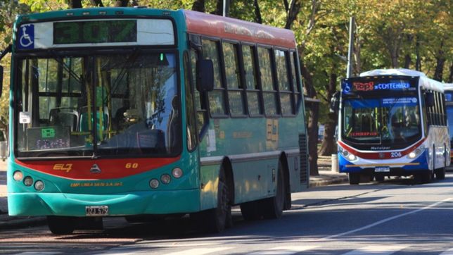 los choferes de micros anunciaron un paro de 72 horas: ¿que va a pasar en la plata?