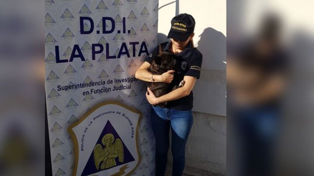 le robaron la perra y quisieron extorsionarla con un rescate por 20 mil pesos
