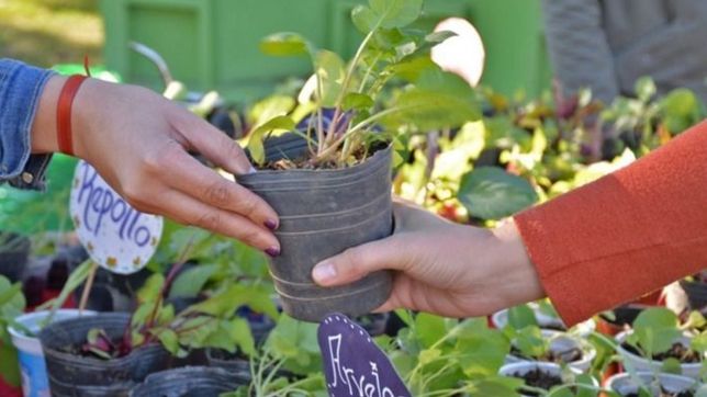 la municipalidad realizara una nueva jornada de eco-canje en city bell