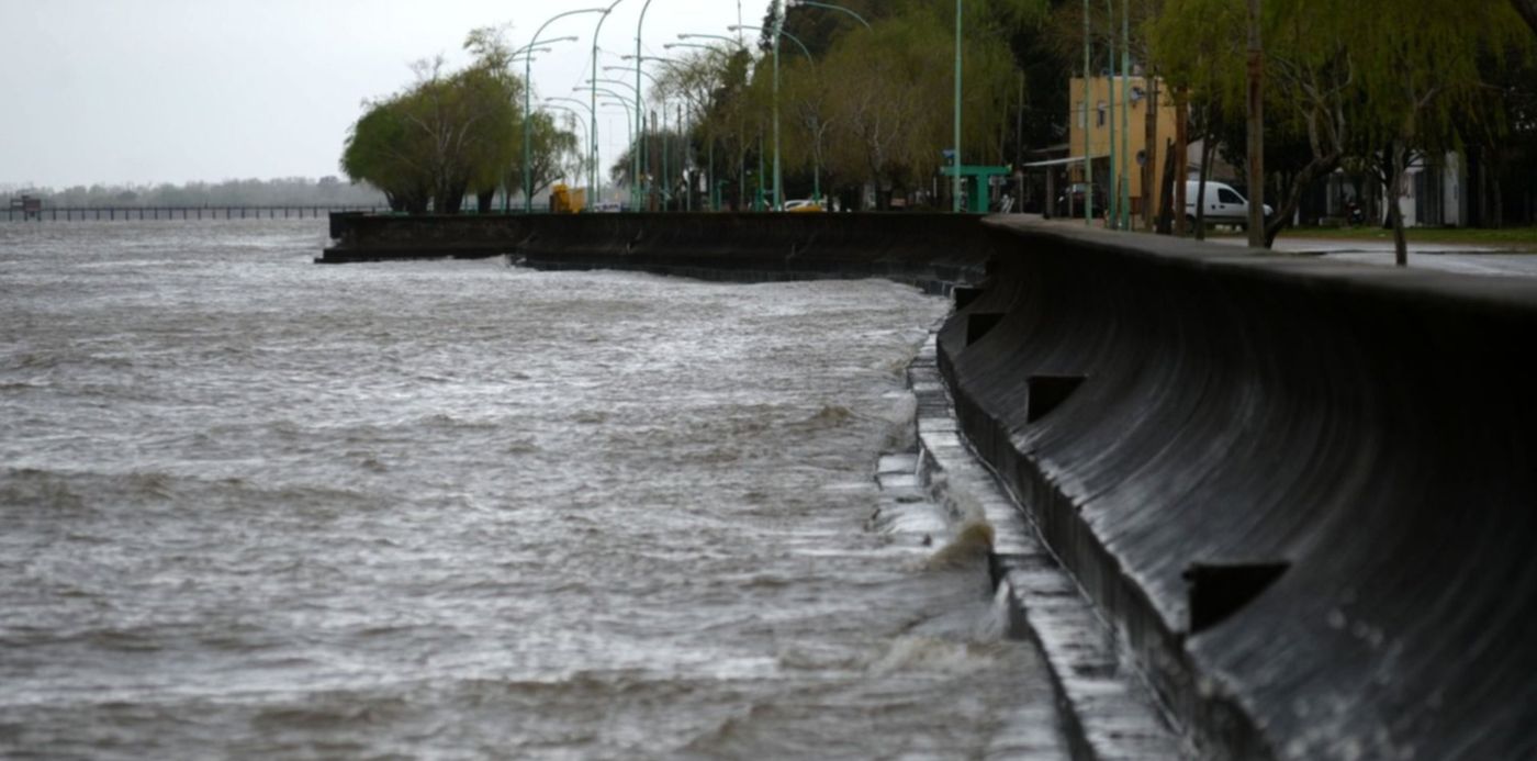 1569962905631.jpg?x= 2&y=113&width=1493&height=746&rotate=0&scaleX=1&scaleY=1&ow=1500&oh=897&&cw=1920&ch=950