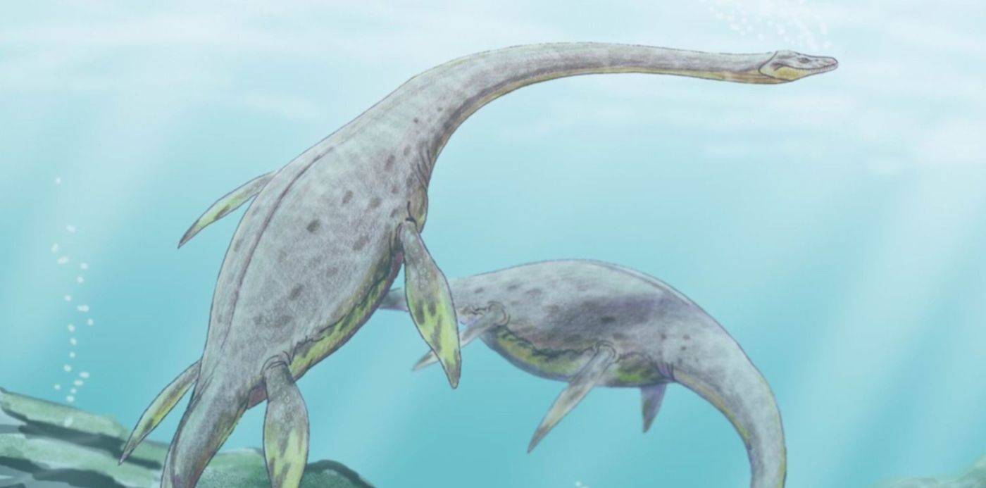 1559603453978.jpg?rotate=0&scaleY=1&ow=1500&oh=1071&x=4&y=78&width=1486&height=743&scaleX=1&&cw=1920&ch=950