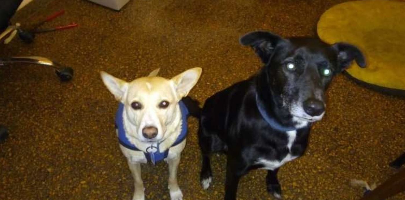 1625436816546.jpeg?x=9&y=47&width=752&height=376&rotate=0&scaleX=1&scaleY=1&ow=768&oh=432&&cw=1920&ch=950