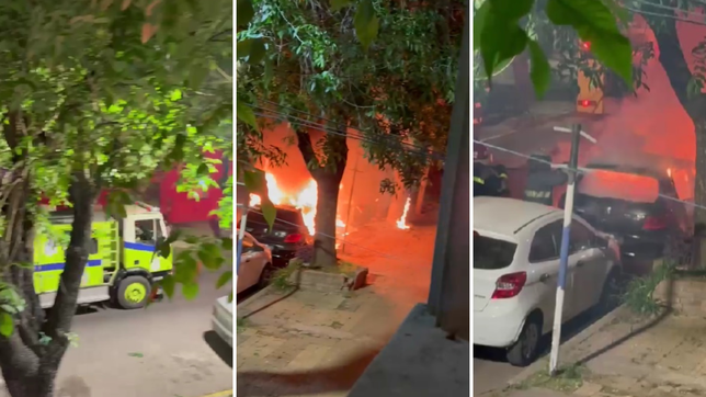 susto en un barrio centrico de la plata por el incendio de un auto, un contenedor y un arbol