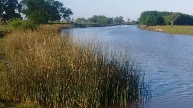 aparecieron varios peces muertos en un arroyo protegido de la plata