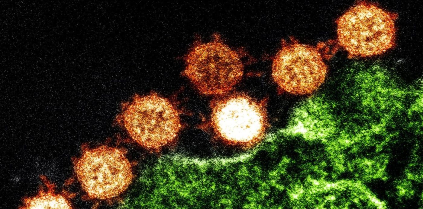 1580068416397.jpg?scaleY=1&oh=999&height=727&scaleX=1&width=1453&rotate=0&ow=1500&x=37&y=50&&cw=1920&ch=950