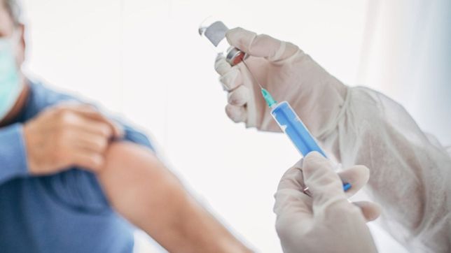 la anmat estudia la vacuna de pfizer contra el covid-19: ¿cuando la podria aprobar?