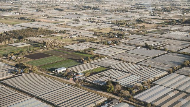 realizaran un censo en el cordon frutihorticola para mejorar y potenciar la produccion