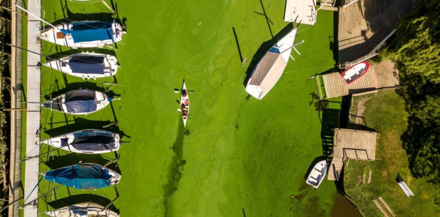 1606098607457.jpg?x=11&y=262&width=1485&height=742&rotate=0&scaleX=1&scaleY=1&ow=1500&oh=1124&&cw=1920&ch=950