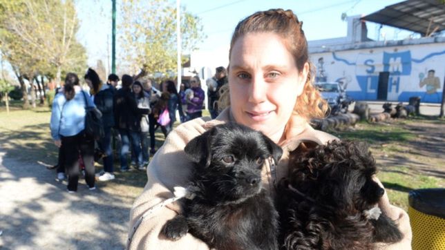 megaoperativo de atencion gratuita para mascotas en distintos barrios de la plata
