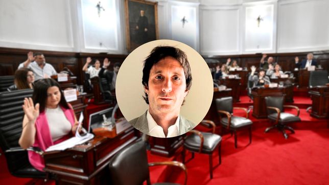 ¿quien es nicolas berstein, el abogado elegido por alak para el juzgado de faltas vacante?