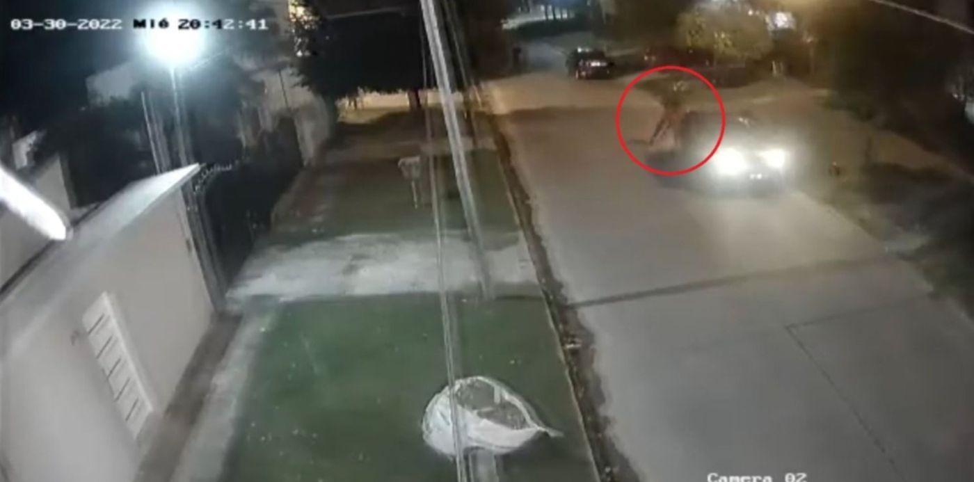 1648743708900.jpg?x= 8&y=14&width=1505&height=752&rotate=0&scaleX=1&scaleY=1&ow=1500&oh=823&&cw=1920&ch=950