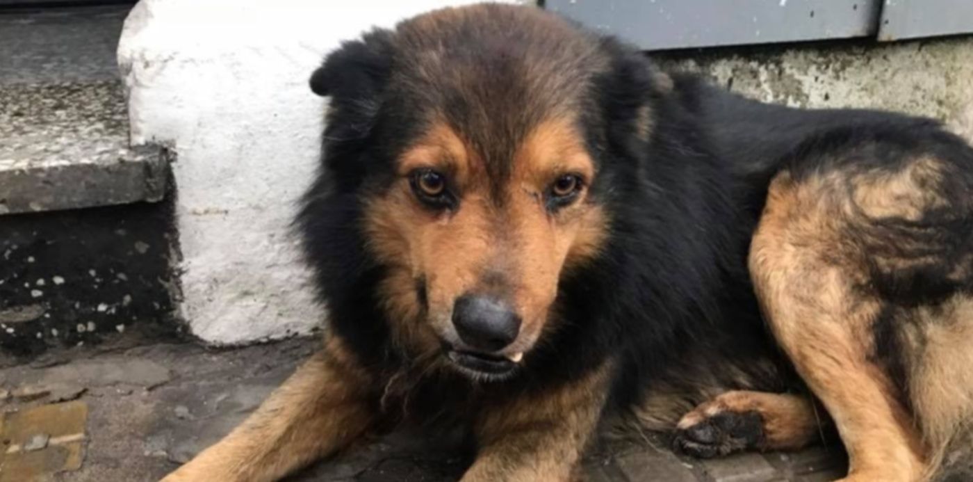 1537385616963.jpg?x=5&y=89&width=950&height=475&scaleY=1&oh=720&rotate=0&scaleX=1&ow=960&&cw=1920&ch=950