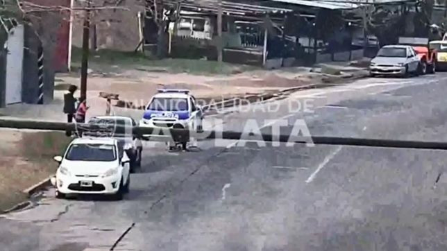 video: iba con su hijo en bicicleta, cayeron en una transitada calle y terminaron heridos