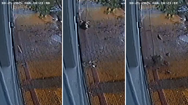 se cayo parte de la mamposteria de una casa en el centro de la plata y no ocurrio una tragedia de milagro