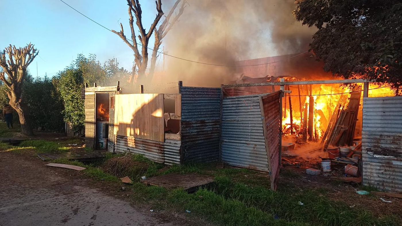 WhatsApp Image 2024-07-05 at 10.28.04.jpeg