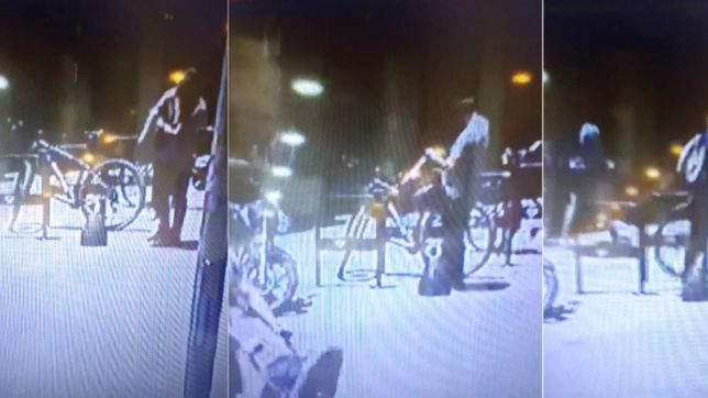 video: asi rompieron un candado y se robaron una bicicleta en pleno centro de la plata