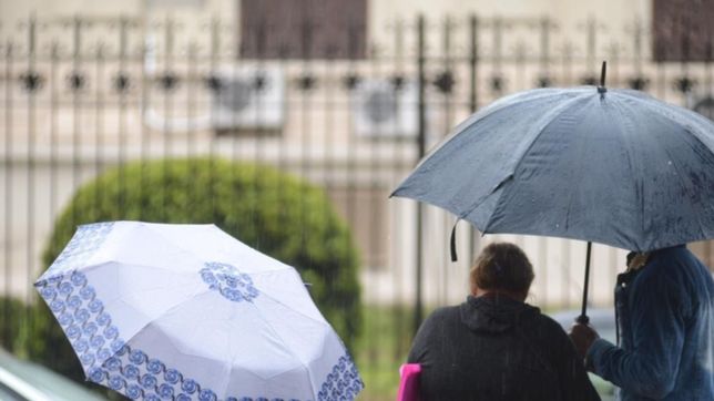 calor, humedad y ¿lluvias?: asi va seguir el clima en la plata