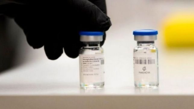 la anmat aprobo el suero equino hiperinmune como tratamiento para el coronavirus