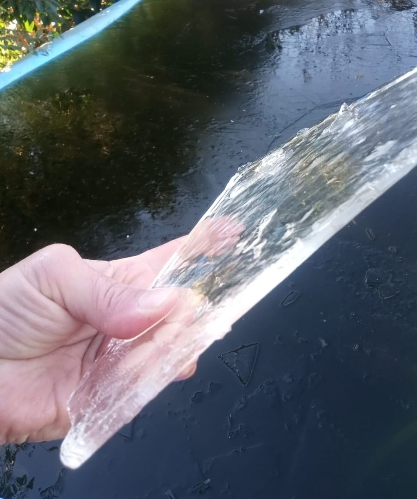La capa de hielo en la pileta congelada en La Plata