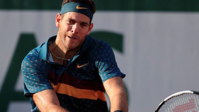 el tenista juan martin del potro anuncio que podria retirarse tras el argentina open