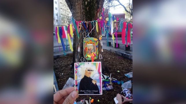 intervinieron el jacaranda incendiado y lo transformaron en un santuario a marta minujin