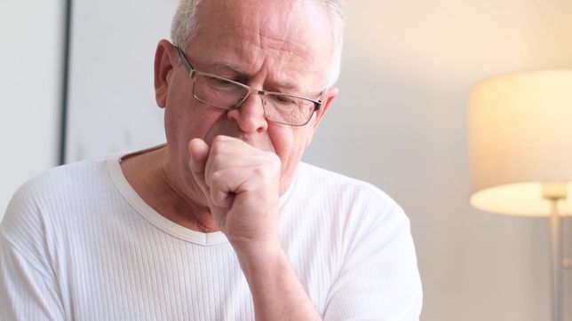 ¿cuales son los grupos de mayor riesgo ante la llegada al pais de la influenza h3n2?