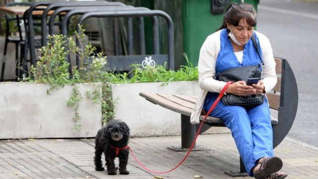 neblinas, nubes y rafagas de viento: asi estara el clima en la plata durante la semana