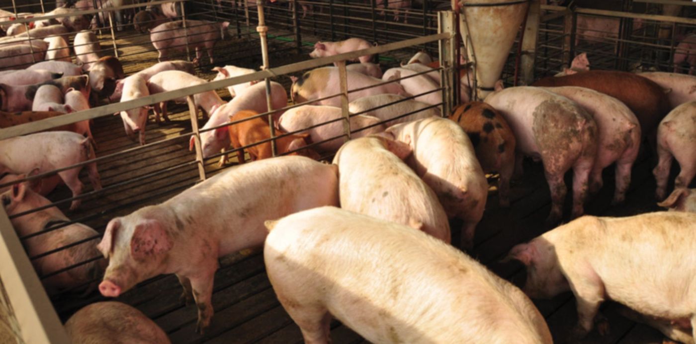 1538663110158.jpg?scaleX=1&scaleY=1&ow=1200&x=14&width=1172&height=586&y=89&rotate=0&oh=675&&cw=1920&ch=950