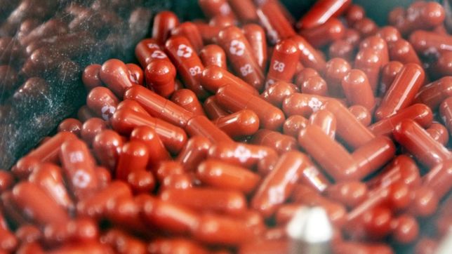 marta cohen considero alentadora la aprobacion de la pildora anti covid-19 de pfizer