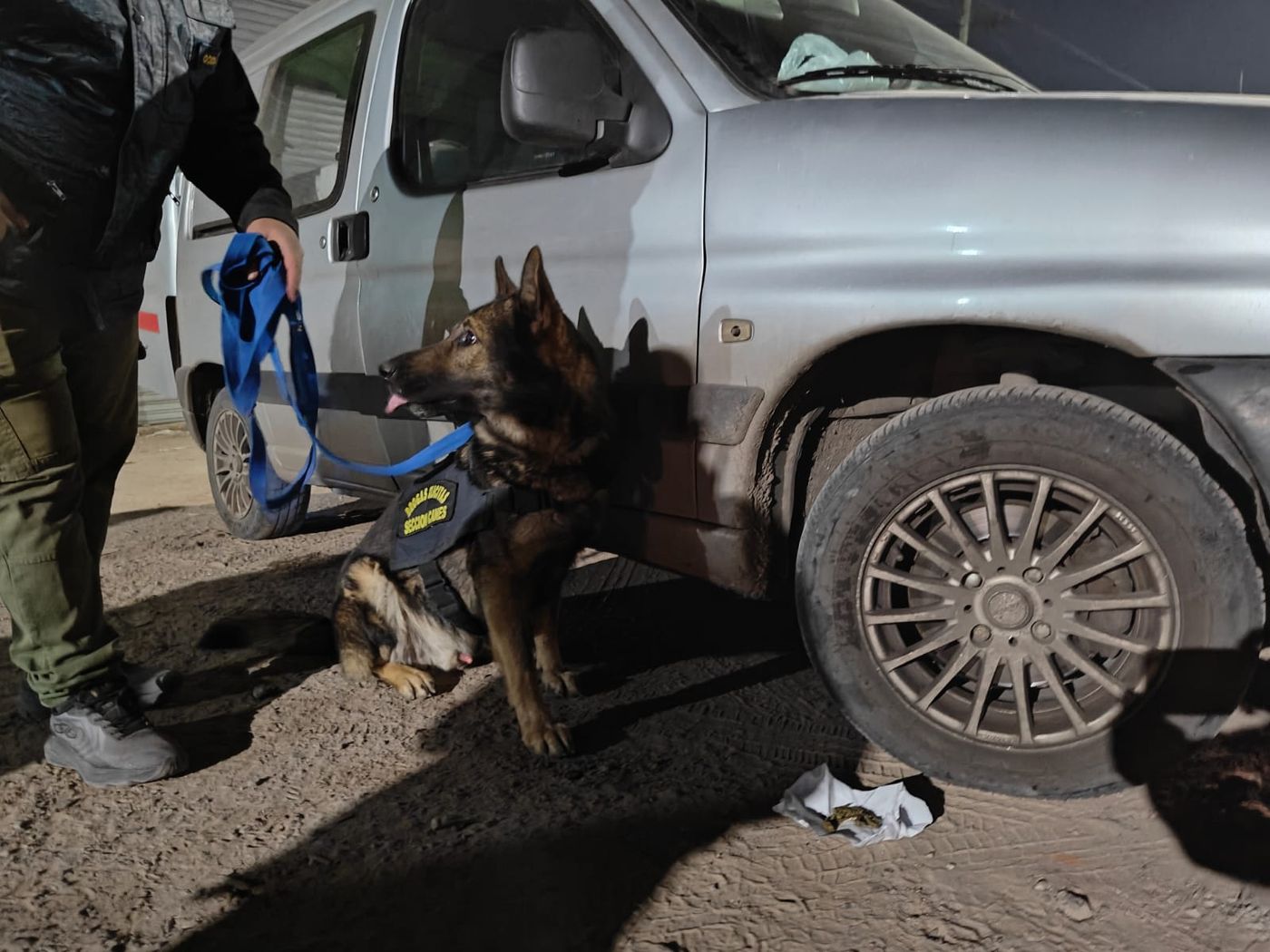 Del operativo participó un perro adiestrado con guía de la delegación de tráfico de Drogas Ilícitas de La Plata.