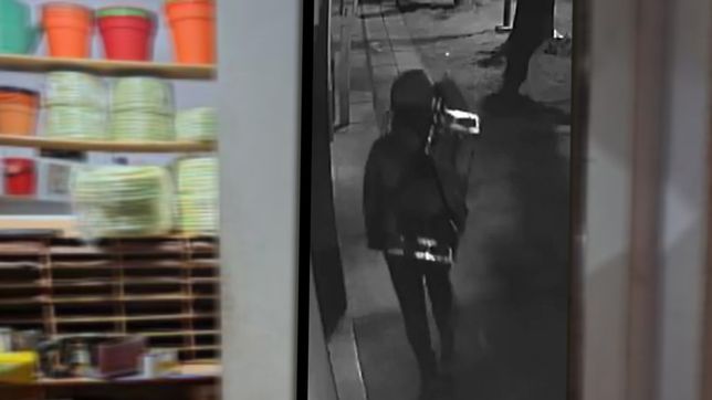 video: asi huyeron los ladrones que saquearon una ferreteria de la plata