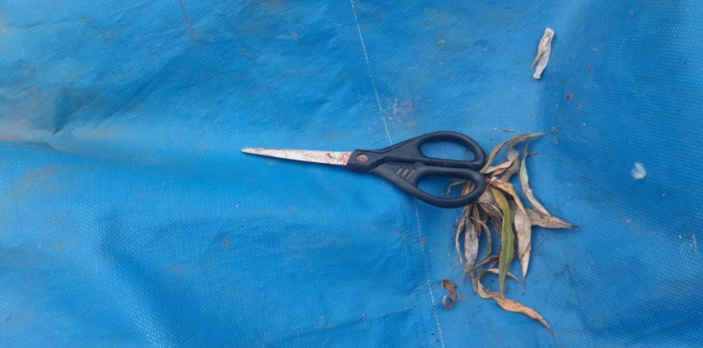 1644367145300.jpeg?x=8&y=188&width=1485&height=742&rotate=0&scaleX=1&scaleY=1&ow=1500&oh=1125&&cw=1920&ch=950