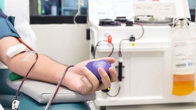los platenses recuperados de covid-19 que donen plasma estarian exentos del pago de tasas