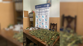 detuvieron a un joven caminando por la plata con una bolsa con 2,5 kg de marihuana