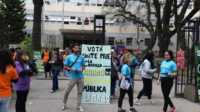 ¿cuantas agrupaciones participan en las elecciones de la unlp y cuales son?