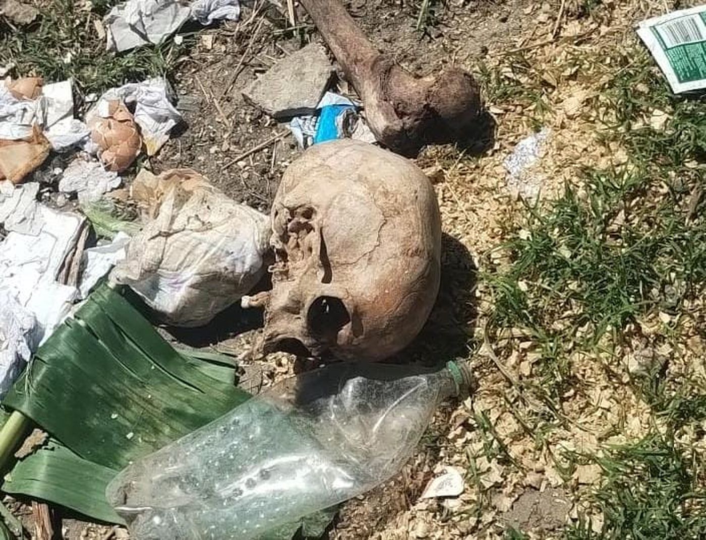 WhatsApp Image 2024-02-21 at 18.48.37 (1).jpeg