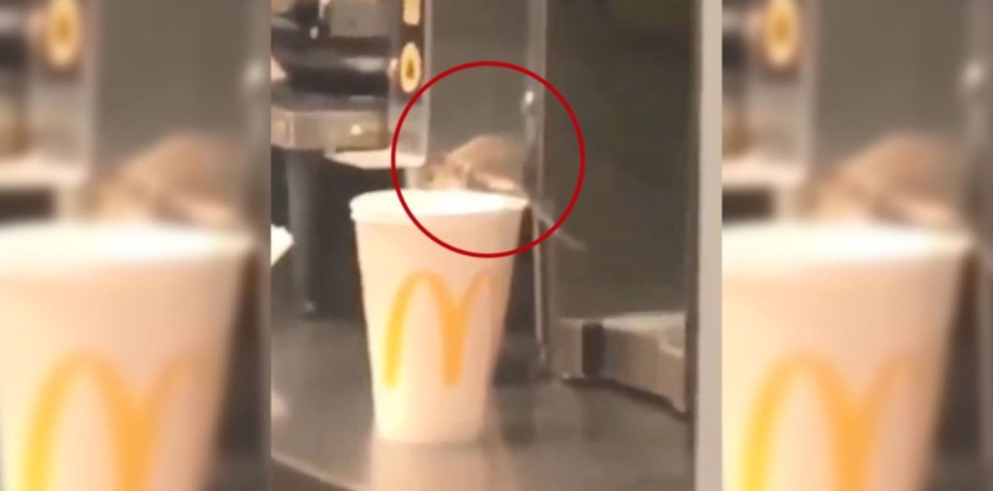 1547670296631.jpeg?x=6&height=635&rotate=0&scaleY=1&oh=640&y=0&width=1269&scaleX=1&ow=1280&&cw=1920&ch=950